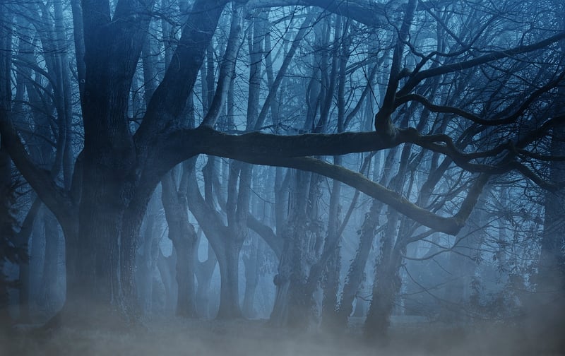 Mystical Trees