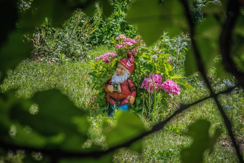 Pixie Terrarium